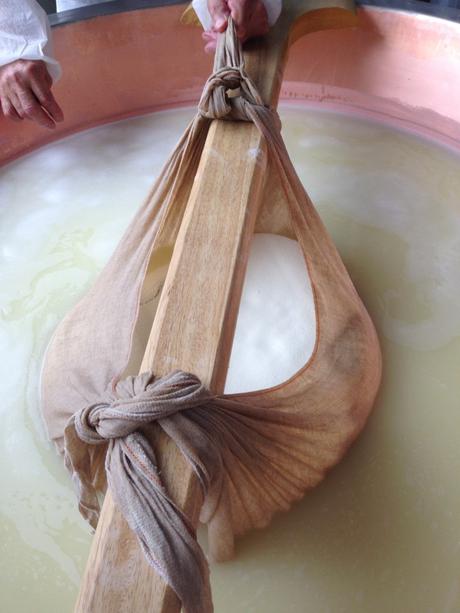 GRANA PADANO DOP: PASSIONE ED AMORE TUTTI DA GUSTARE IMG_0599