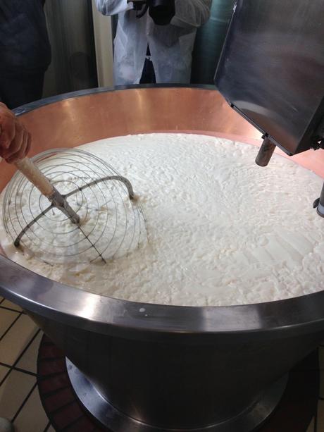 GRANA PADANO DOP: PASSIONE ED AMORE TUTTI DA GUSTARE IMG_0540