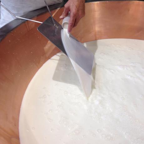 GRANA PADANO DOP: PASSIONE ED AMORE TUTTI DA GUSTARE IMG_0486