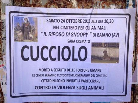 “Morto per torture umane”, l’annuncio funebre del cane apparso in Campania Manifesto funebre