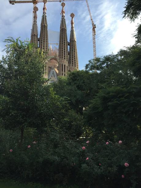 BARCELLONA, IN GIRO PER GIARDINI (E NON SOLO)