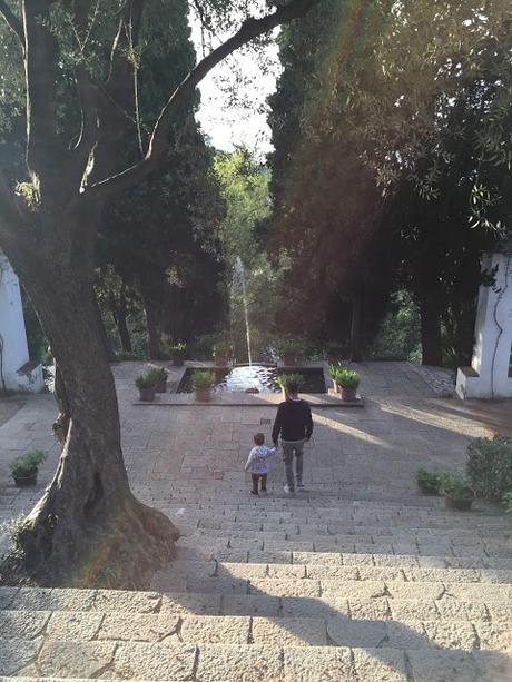 BARCELLONA, IN GIRO PER GIARDINI (E NON SOLO)