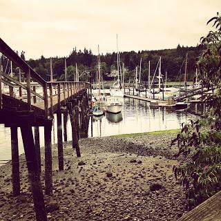 Bainbridge Island, lo smeraldo selvaggio