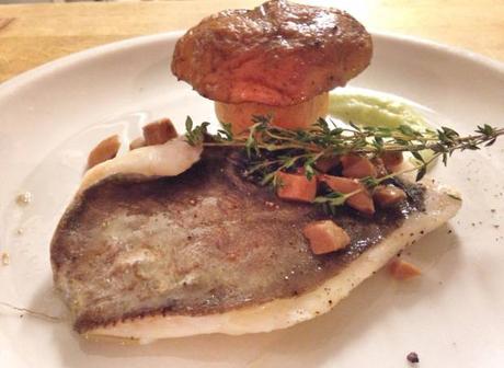 Fish Fashion 12049508_983489415007028_6875159016046275096_n