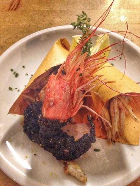 Fish Fashion 12019783_983489351673701_1045660609779686869_n