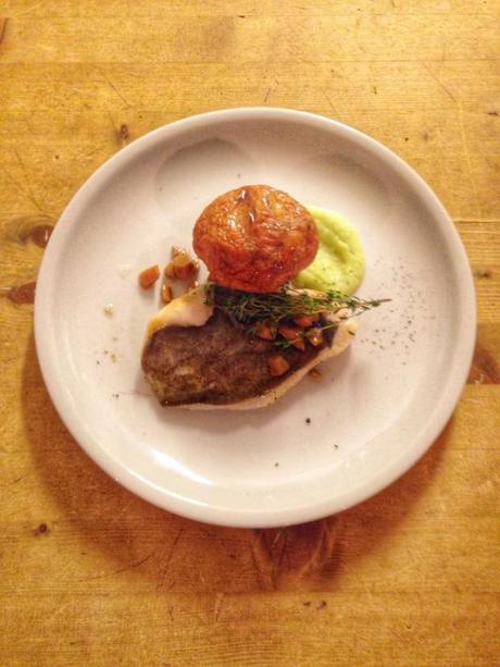 Fish Fashion 11224865_983489398340363_7509332365037619907_n