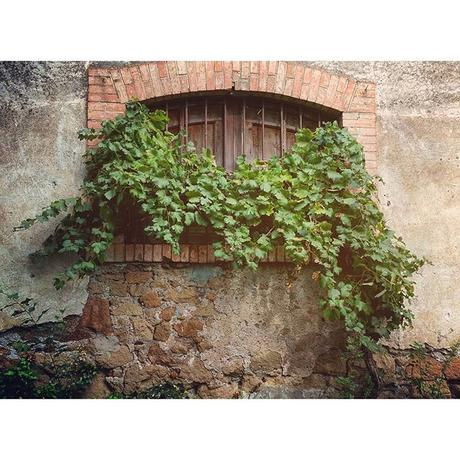 OOTD: Hallo(ween) Kitty OOTD: Hallo(ween) Kitty