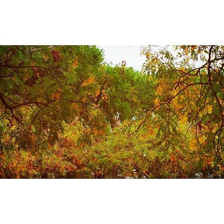 OOTD: Hallo(ween) Kitty OOTD: Hallo(ween) Kitty