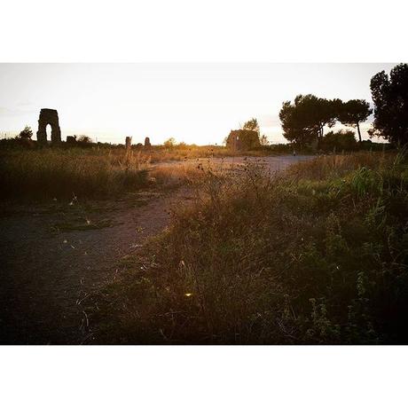 OOTD: Hallo(ween) Kitty OOTD: Hallo(ween) Kitty