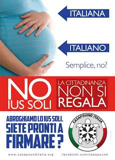 ROMA. CasaPound tappezza 100 città di manifesti per promuovere il referendum abrogativo sullo ius soli.