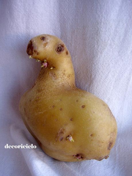 Strane patate 