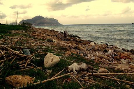 Commenti su Palermo? Pessima città. Vergogna siciliana di Mimmo