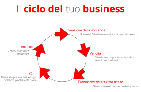 Ciclo del Business