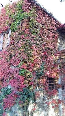 Romantico autunno in Toscana..