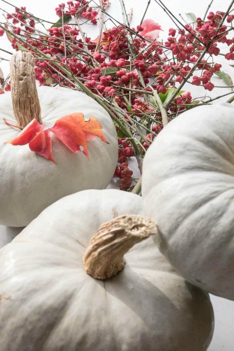 Grey pumpkin