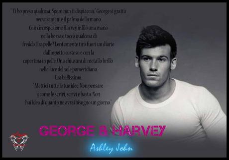 The George & Harvey Series di Ashley John