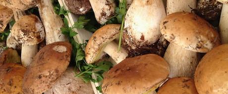 5 Sagre da non perdere in Campania: weekend 7-8 novembre 2015 5 Sagre da non perdere in Campania: weekend 7-8 novembre 2015