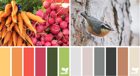 Ispirazioni | I colori di Design Seeds