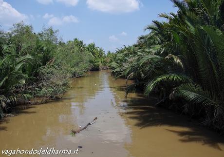 delta del Mekong