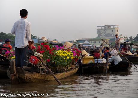 delta del mekong