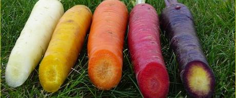 Novembre il mese delle carote- Gluten Free Travel and Living