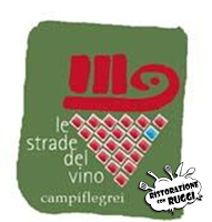 Le Strade del Vino in Campania