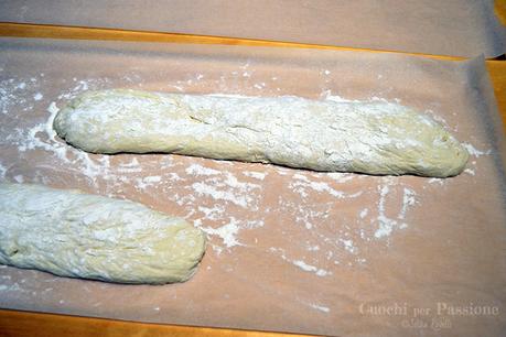 Pane tipo Ciabatta - 2^ Lievitazione