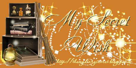 Muy Secret Wish Secret Wish Mailing Box