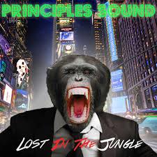 Principles Sound: Lost In The Jungle