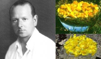 La biografia e i fiori di Edward Bach