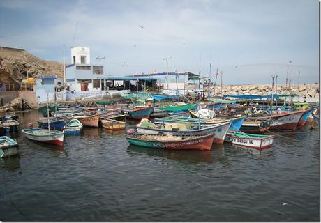 Puerto Lomas4 Puerto Lomas4