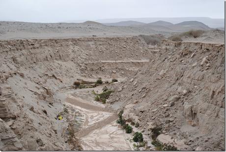 0275 CREPE DA TERREMOTO 0275 CREPE DA TERREMOTO