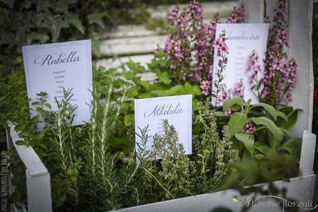 Rose inglesi per un matrimonio da favola