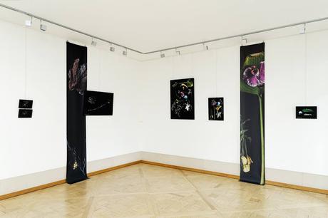 Flowery _ Silvia Coccaglio at Molin Corvo Gallery at Joyce Gallery Paris