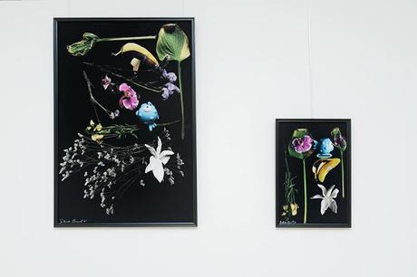 Flowery _ Silvia Coccaglio at Molin Corvo Gallery at Joyce Gallery Paris