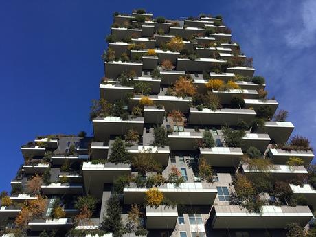 Milano batte New York: è il Bosco Verticale il grattacielo più bello del mondo boscoverticale