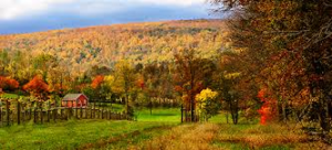 Dieci Regioni vinicole to watch out for next future Dieci Regioni vinicole to watch out for next future