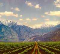 Dieci Regioni vinicole to watch out for next future Dieci Regioni vinicole to watch out for next future