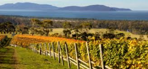 Dieci Regioni vinicole to watch out for next future Dieci Regioni vinicole to watch out for next future