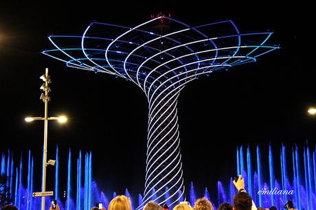 Padiglione Italia - Scatti di una giornata ad Expo Milano 2015 18