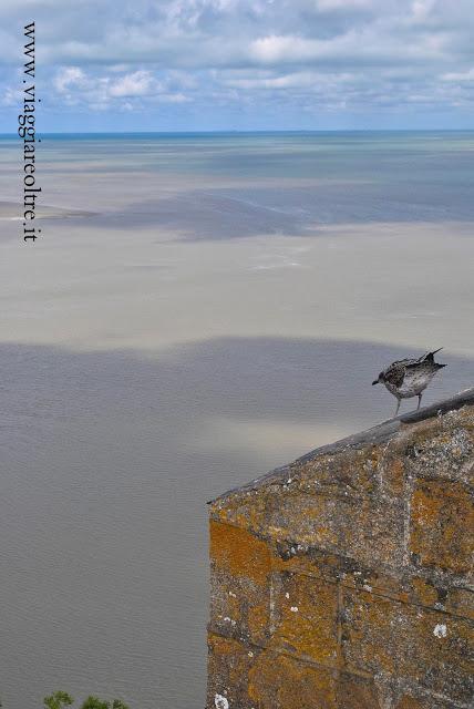 Parigi e un gabbiano a Mont Saint Michel