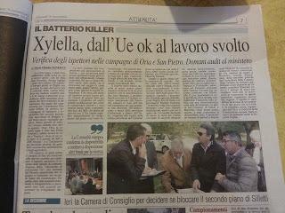 Xylella 19 novembre 2015 Xylella 19 novembre 2015