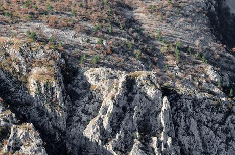 Val Rosandra - su e giù per i calcari con il mare all'orizzonte