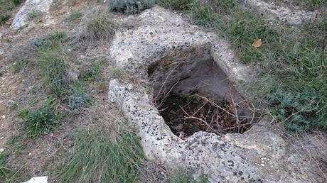 FOTOGALLERY: La necropoli di Monte Tabor a Vico del Gargano tra asfalto e rifiuti