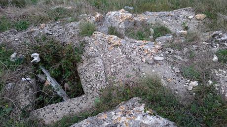 FOTOGALLERY: La necropoli di Monte Tabor a Vico del Gargano tra asfalto e rifiuti