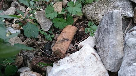 FOTOGALLERY: La necropoli di Monte Tabor a Vico del Gargano tra asfalto e rifiuti