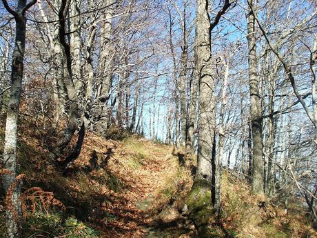 Trekking su Appennino Romagnolo tra Bagno di Romagna  e Alfero - 12 Novembre 2015