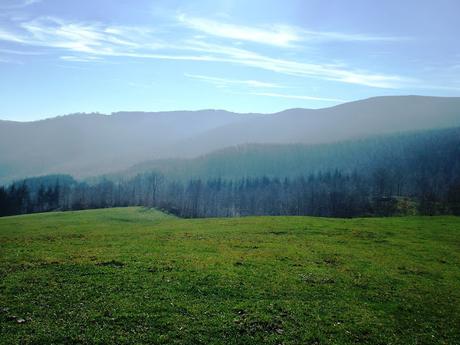 Trekking su Appennino Romagnolo tra Bagno di Romagna  e Alfero - 12 Novembre 2015