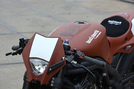 Triumph Speed Triple by WalzWerk-Racing