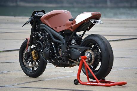 Triumph Speed Triple by WalzWerk-Racing